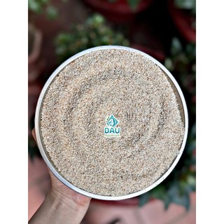 Cát Mix Nắng Hồng Siêu Sạch, Ít Bụi, Hạt nhỡ (1kg, 2kg, 5kg)