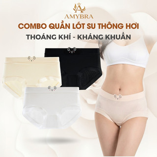 Combo Quần Lót Nữ Su Lạnh Thông Hơi Thoáng Khí, Set Quần Chip Đùi Nữ Đáy May Kháng Khuẩn AMYBRA L718