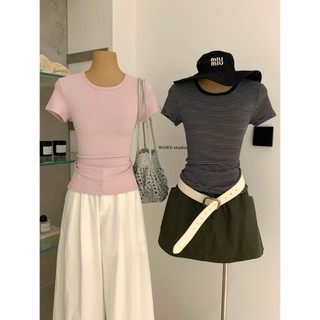 𝐏𝐡𝐢𝐞𝐧 𝐖𝐆𝐖𝐄 | (Sẵn) w9257 Áo Thun Kẻ Nhỏ Cổ Tròn Cộc Tay Form Ôm Hàn Quốc