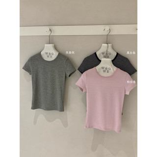 𝐏𝐡𝐢𝐞𝐧 𝐖𝐆𝐖𝐄 | (Sẵn) w9257 Áo Thun Kẻ Nhỏ Cổ Tròn Cộc Tay Form Ôm Hàn Quốc