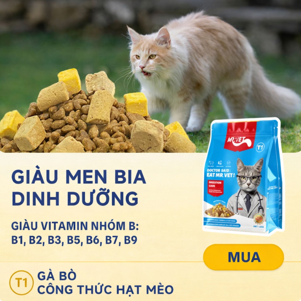 [COMBO Siêu Tiết Kiệm] Combo hạt cho mèo Mr.Vet công thức cải tiến cải thiện sức khỏe toàn diện cho mèo