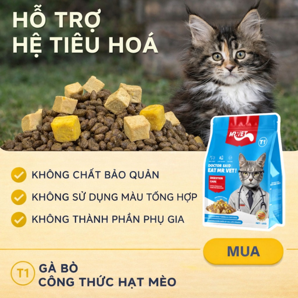 [COMBO Siêu Tiết Kiệm] Combo hạt cho mèo Mr.Vet công thức cải tiến cải thiện sức khỏe toàn diện cho mèo