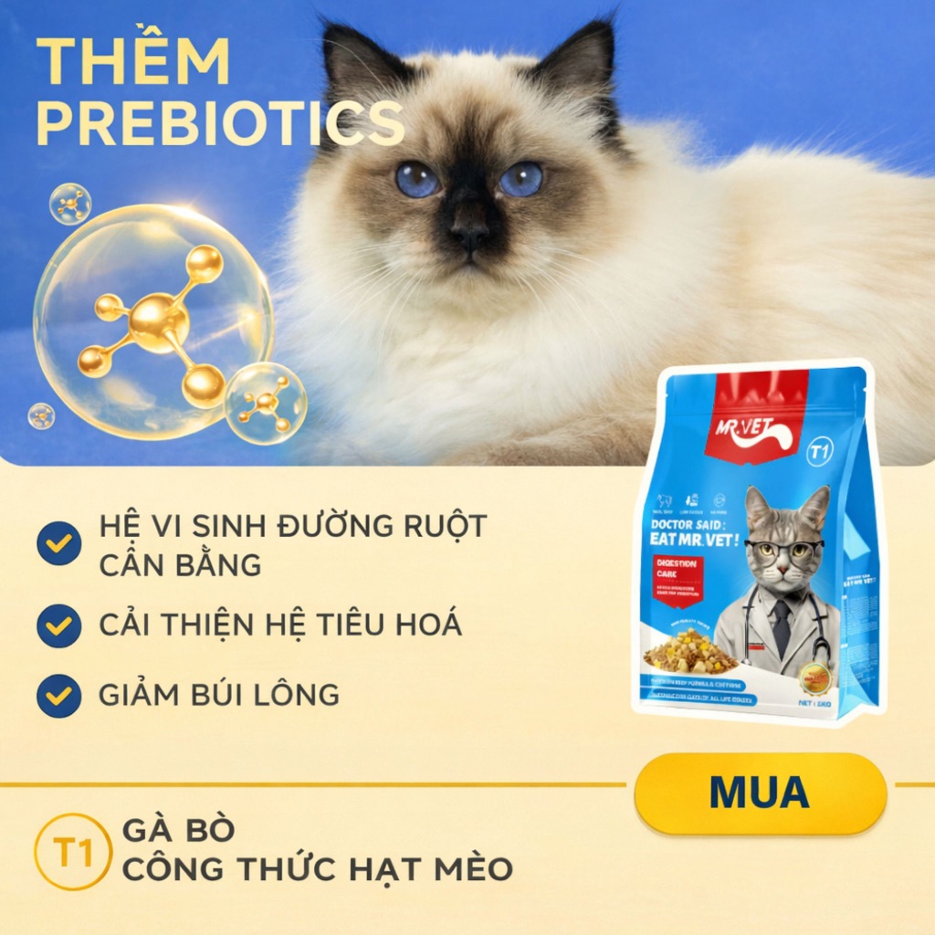 [COMBO Siêu Tiết Kiệm] Combo hạt cho mèo Mr.Vet công thức cải tiến cải thiện sức khỏe toàn diện cho mèo