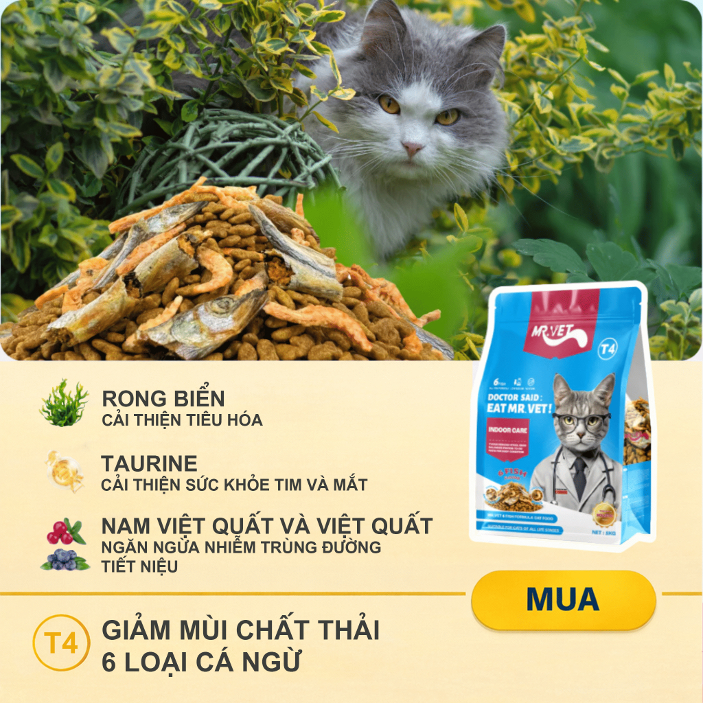[COMBO Siêu Tiết Kiệm] Combo hạt cho mèo Mr.Vet công thức cải tiến cải thiện sức khỏe toàn diện cho mèo