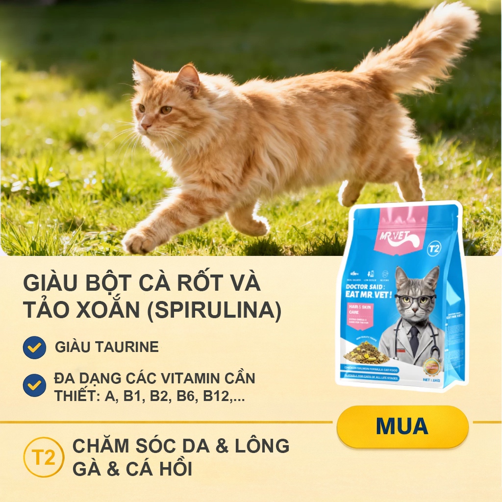 [COMBO Sức khỏe toàn diện] Combo Hạt Cho Mèo MR.VET T1, T2, T3 Cải Thiện Tiêu Hóa, Tăng Sức Đề Kháng, Giảm Búi Lông, Chă