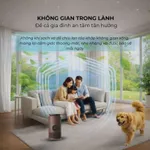 Máy Lọc Không Khí Tạo Ẩm PAVEDEN PAP-HF316T - Lọc formaldehyde- Đổi mới 365 ngày — ảnh 4