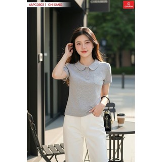 6APC08 Áo thun nữ CARDINA chất cotton polo tay cộc cổ sen dễ mặc 6APC08