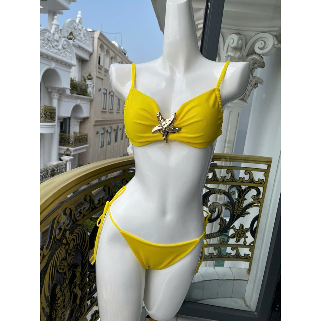 set 2 mảnh sao biển