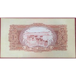 [SƯU TẦM XƯA VIỆT NAM] 1 Đồng 1958 Hiếm