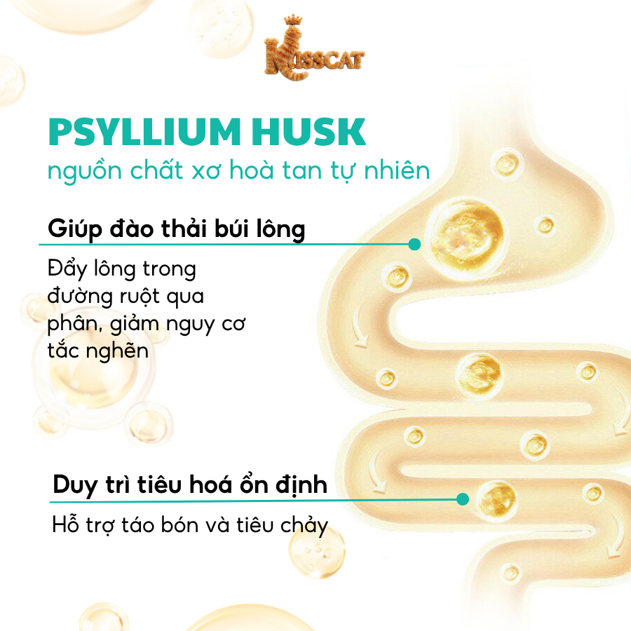 Hạt Cho Mèo Kisscat gói 1KG 30% Protein Giảm Búi Lông Tăng Cường Omega 3