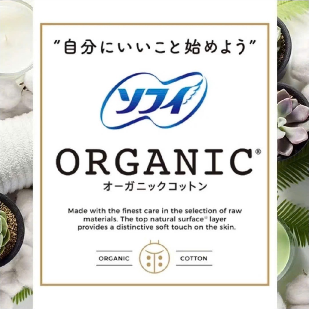 Băng vệ sinh Sofy Organic siêu mỏng cánh 23cm 15 miếng
