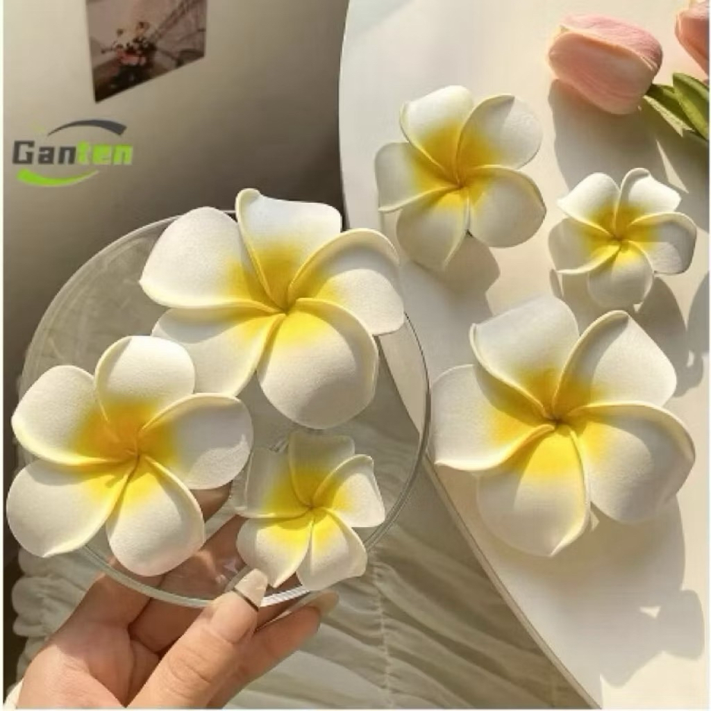 Bikini DTD 2 Mảnh Basic Phối Viền Bèo Xoè Tôn Dáng