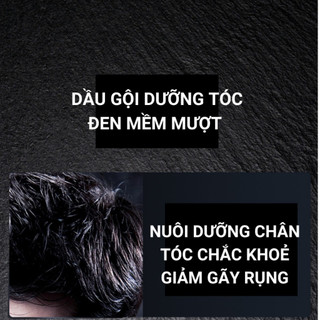 Dầu gội giảm tóc bạc Hà Thủ Ô Linh Chi Đen 300g - Dưỡng tóc đen, chắc khoẻ, mượt tự nhiên