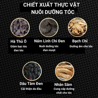 Dầu gội giảm tóc bạc Hà Thủ Ô Linh Chi Đen 300g - Dưỡng tóc đen, chắc khoẻ, mượt tự nhiên