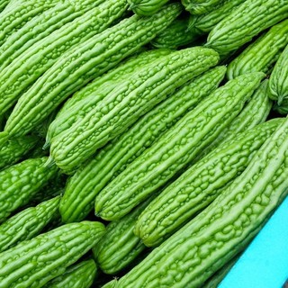 Hạt giống Mướp Đắng trồng quanh năm, nảy mầm tốt -Ampalaya Seeds-10 Hạt