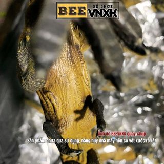 Đồ chơi Mô hình Khủng Long Tarbosaurus cỡ lớn, chính hãng xuất dư - BEE VNXK