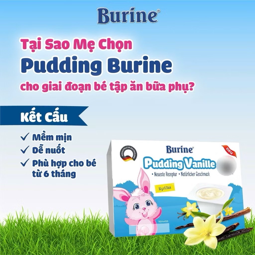 Váng sữa, cháo Pudding Burine Đức nguyên kem, mềm mịn cho bé 6 tháng ăn dặm - 3 vị vani, chuối, dâu