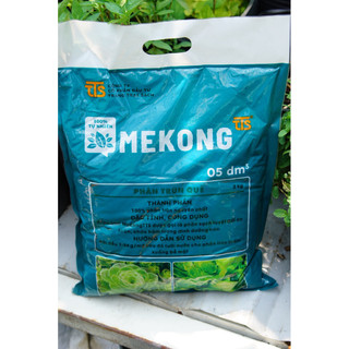 Phân Trùn Quế Mekong  Bón Lót Cây Trồng Hoa Cảnh Cây Ăn Quả