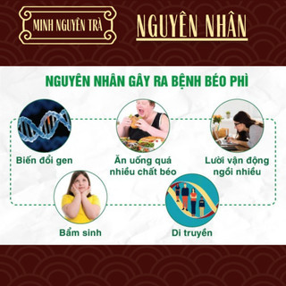 Trà Túi Lọc Tiêu mỡ - Minh Nguyên - Đốt Mỡ Bụng Nội Tạng, An Toàn Không Tích Nước, Detox giảm cân - Túi 50 lọc