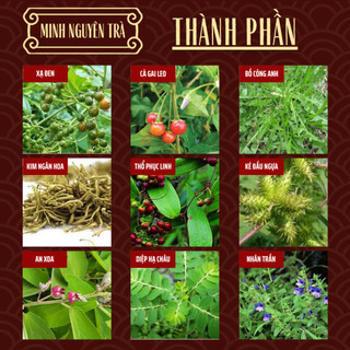 Trà Túi Lọc Thải Độc Gan - Minh Nguyên - Mát Gan, Hạ Mỡ Máu, Men Gan, bảo vệ phục hồi chức năng gan - Túi 50 lọc
