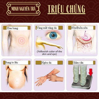 Trà Túi Lọc Thải Độc Gan - Minh Nguyên - Mát Gan, Hạ Mỡ Máu, Men Gan, bảo vệ phục hồi chức năng gan - Túi 50 lọc