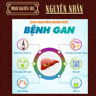 Trà Túi Lọc Thải Độc Gan - Minh Nguyên - Mát Gan, Hạ Mỡ Máu, Men Gan, bảo vệ phục hồi chức năng gan - Túi 50 lọc