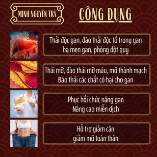 Trà Túi Lọc Thải Độc Gan - Minh Nguyên - Mát Gan, Hạ Mỡ Máu, Men Gan, bảo vệ phục hồi chức năng gan - Túi 50 lọc