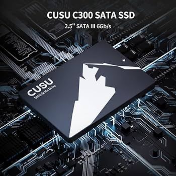 SSD CUSU C300 512GB SATA III - Chính Hãng - Bảo Hành 36T - Ha Duy