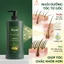 Dầu gội thảo dược Royal 800ML chính hãng ngăn ngừa gãy rụng sạch gàu phục hồi hư tổn