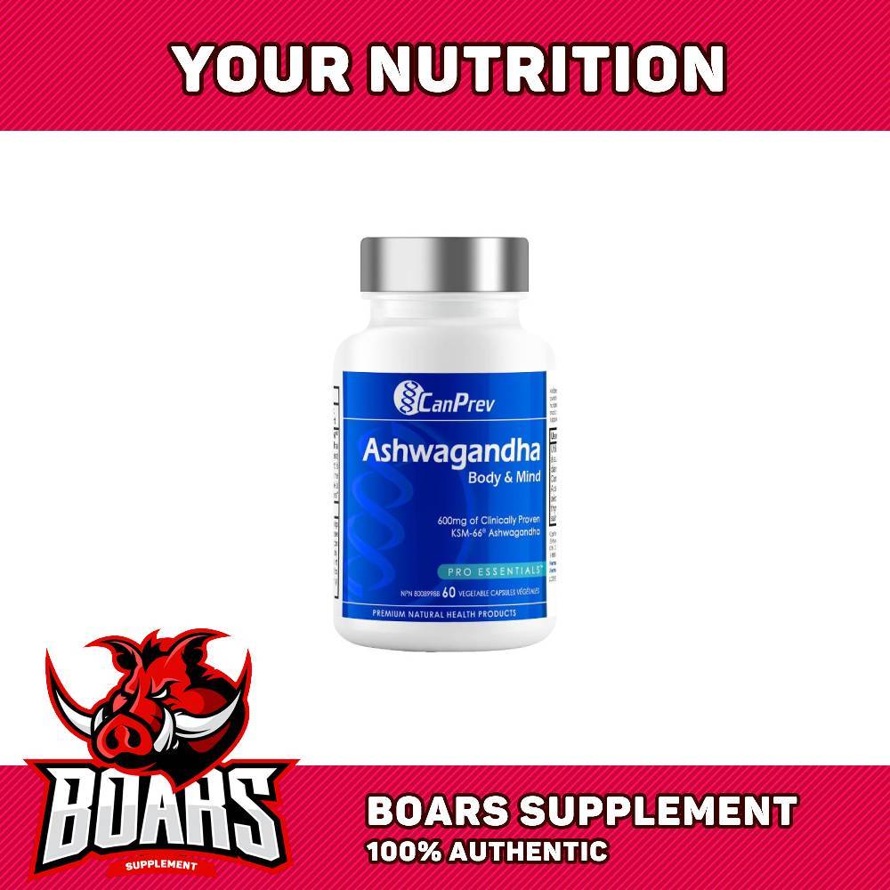 CanPrev Ashwagandha KSM-66 600mg – Hỗ Trợ Tinh Thần & Giấc Ngủ