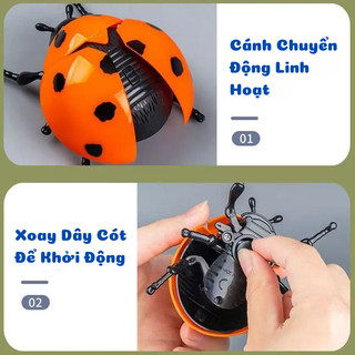 Mô Hình Côn Trùng Di Chuyển Dây Cót-Đồ Chơi Mô Hình Bọ Rùa, Bọ Cánh Cứng, Châu Chấu, Ong, Ve Sầu Chất Liệu Nhựa An Toàn