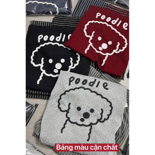 Set bộ áo bbt in hình poodle mix quần xuông kẻ dọc mẫu mới 2026