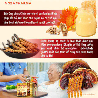 Viên Uống Bồi Bổ Cơ Thể, Phục Hồi Sức Khỏe cho Người lớn tuổi - Đạm Hồng Sâm Korean Nosa