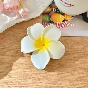 Kẹp Tóc Hoa Chụp Ảnh, Đi Biển LEZA