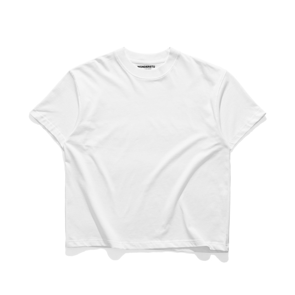 BLANK TEE - ÁO THUN TRƠN FORM BOXY COTTON 2 CHIỀU WONDERSTU