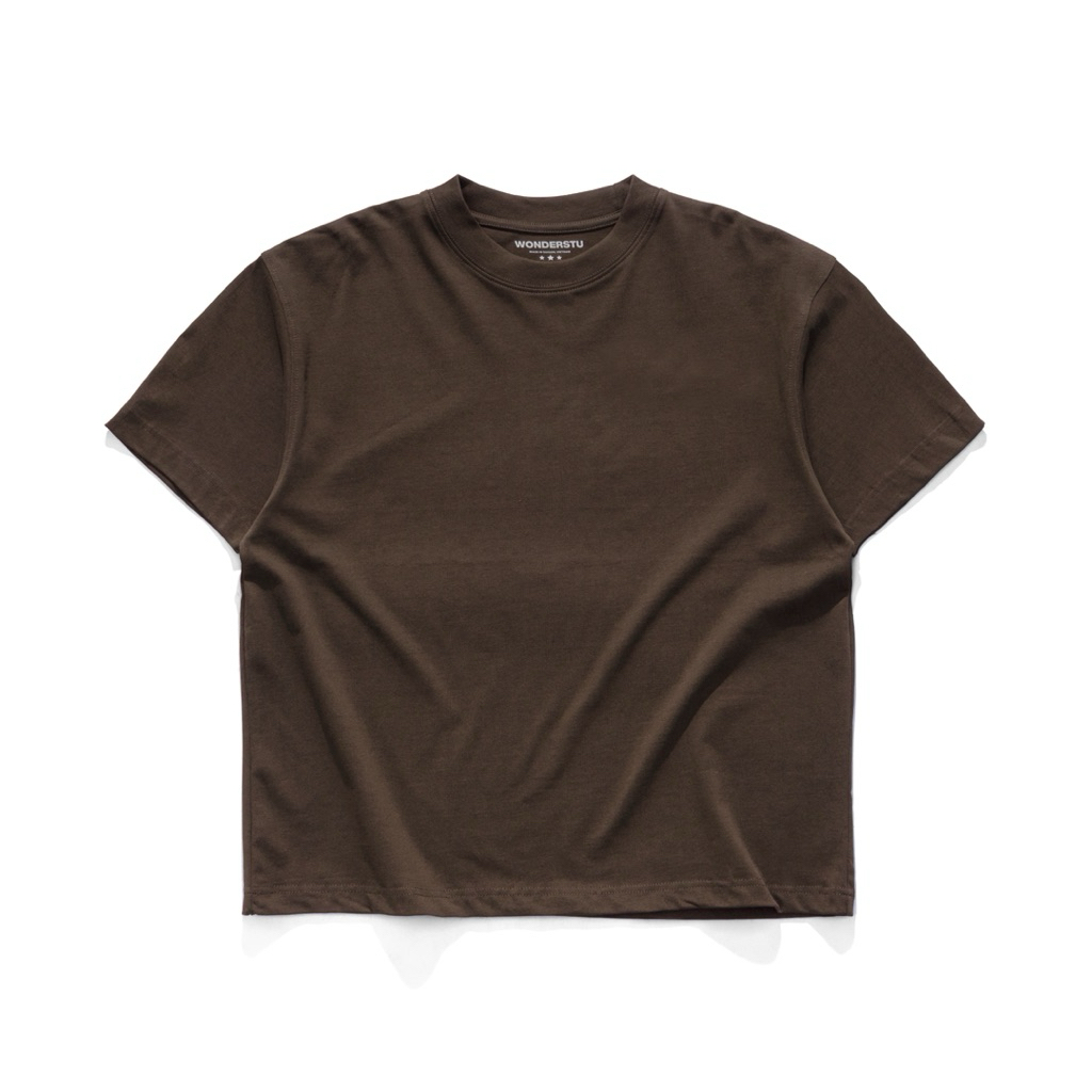 BLANK TEE - ÁO THUN TRƠN FORM BOXY COTTON 2 CHIỀU WONDERSTU