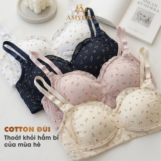 Combo Áo Ngực Cotton Đũi Không Gọng - Set Áo Lót Nữ Đệm Mút Mỏng Cài Sau Mặc Nhẹ AMYBRA A739