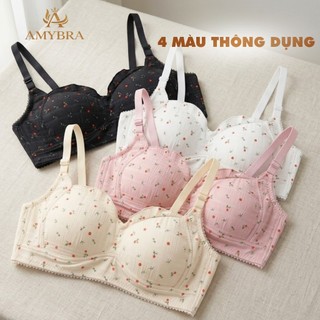 Combo Áo Ngực Cotton Đũi Không Gọng - Set Áo Lót Nữ Đệm Mút Mỏng Cài Sau Mặc Nhẹ AMYBRA A739