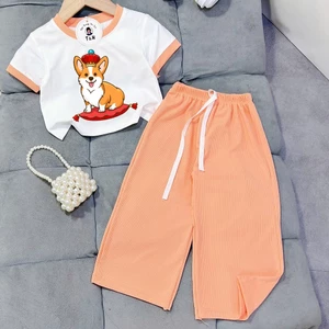 👕👖 ĐỒ BỘ BÉ GÁI – CHO BÉ THÊM ĐÁNG YÊU VÀ THOẢI MÁI 🌸 12-40kg IP656