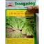 HẠT GIỐNG CẢI BẸ DÚNG TN 269 - LÁ XOĂN, NGON, VỊ NGỌT THANH ( gói 20gr)