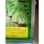 HẠT GIỐNG CẢI BẸ DÚNG TN 269 - LÁ XOĂN, NGON, VỊ NGỌT THANH ( gói 20gr)