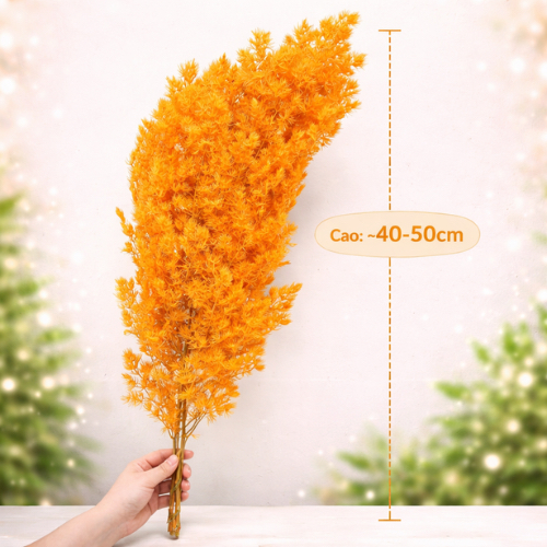 Tùng nho khô cao cấp đủ các màu bó 100g ,hoa sấy khô trang trí sang trọng an toàn sức khoẻ