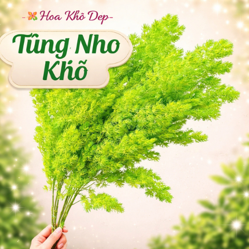 Tùng nho khô cao cấp đủ các màu bó 100g ,hoa sấy khô trang trí sang trọng an toàn sức khoẻ