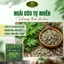 Combo 10 Điếu Ngải Cứu & Dụng Cụ Xông Gỗ/Sứ Cao Cấp – Hơ Ngải Giảm Đau, Lưu Thông Khí Huyết, Thư Giãn Tại Nhà