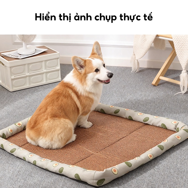 Thảm ngủ cho mèo và chó, thảm ngủ cho thú cưng, giường cho thú cưng, có thể giặt được