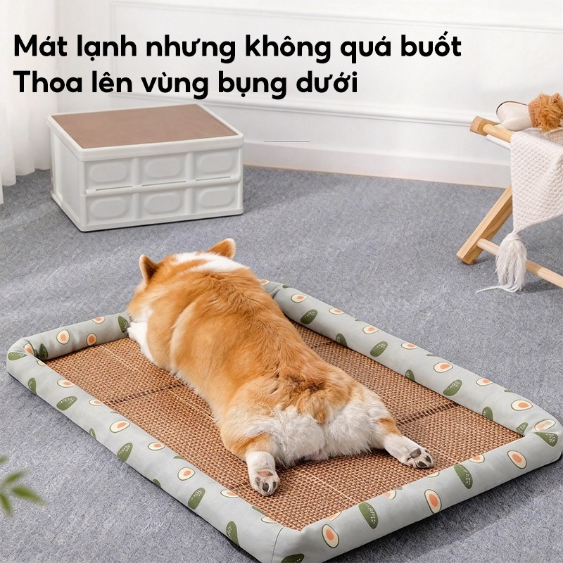 Thảm ngủ cho mèo và chó, thảm ngủ cho thú cưng, giường cho thú cưng, có thể giặt được