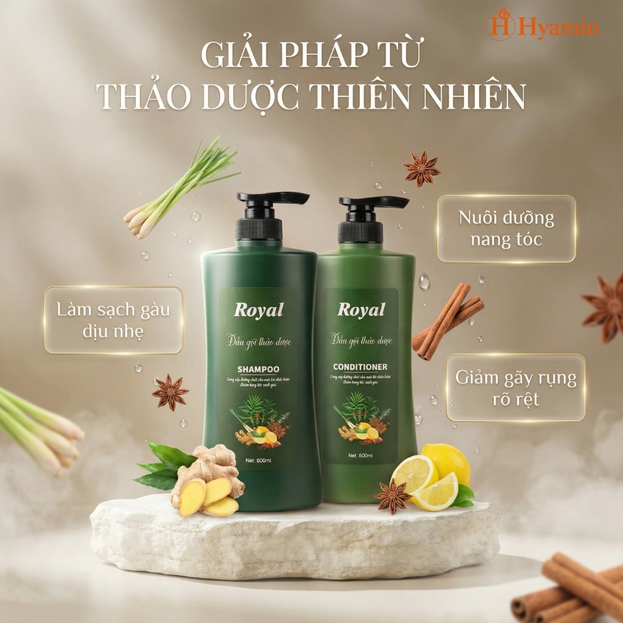 Bộ Dầu Gội Xả Thảo Dược Hyamin Royal Gừng Sả Chanh Giảm Gãy Rụng Mềm Mượt Tóc 800ml