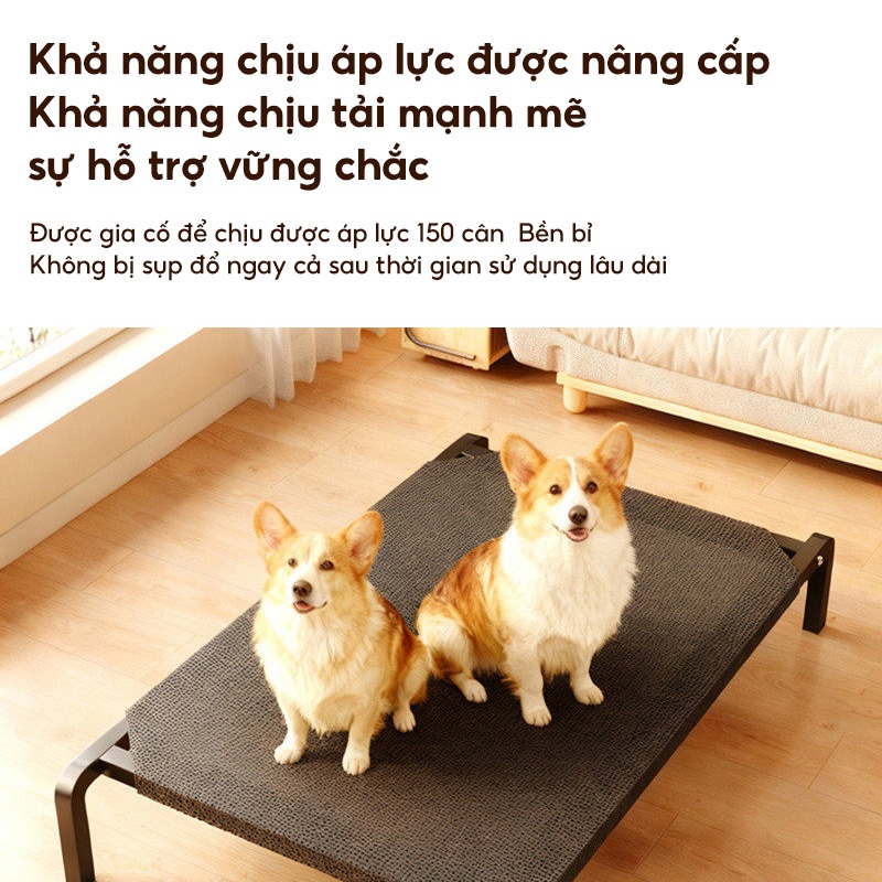 Võng cho thú cưng cỡ lớn, giường cho chó có thể giặt được, giường cho chó chống ẩm.