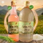 Giấm Gạo Nếp Tú Lệ 500ml NGG0031
