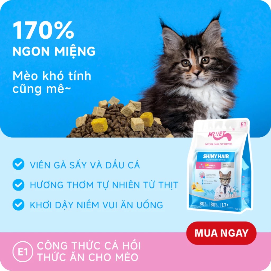 [MỚI] Hạt Cho Mèo MRVET E1 Gói 1KG Dưỡng Lông Chuyên Sâu Từ Dầu Cá Tinh Khiết, 80% Đạm cá hồi & gà